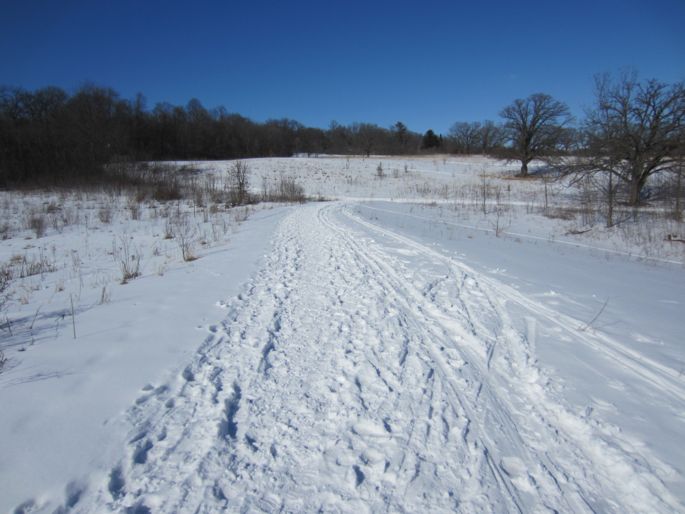 Owen Conservation Skiing Cross Country Skiing Madison Parks